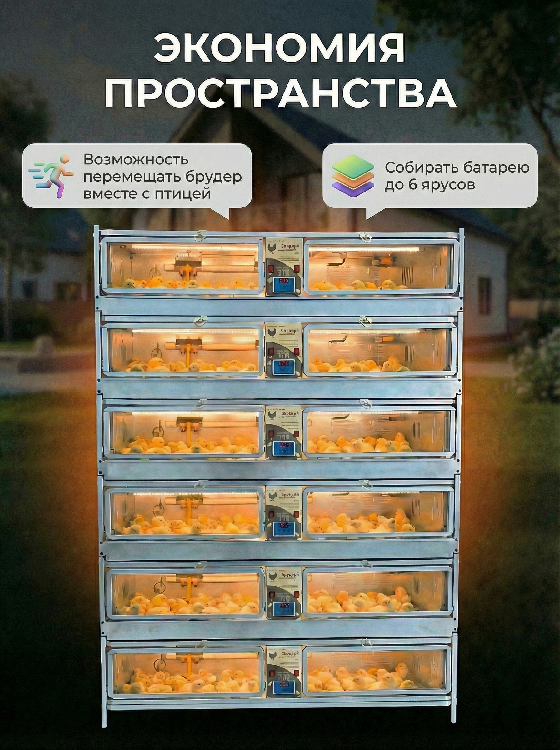 Рамный цифровой брудер 0716 Престиж. Фото 10 Рамный цифровой брудер 0716 Престиж. Фото 10