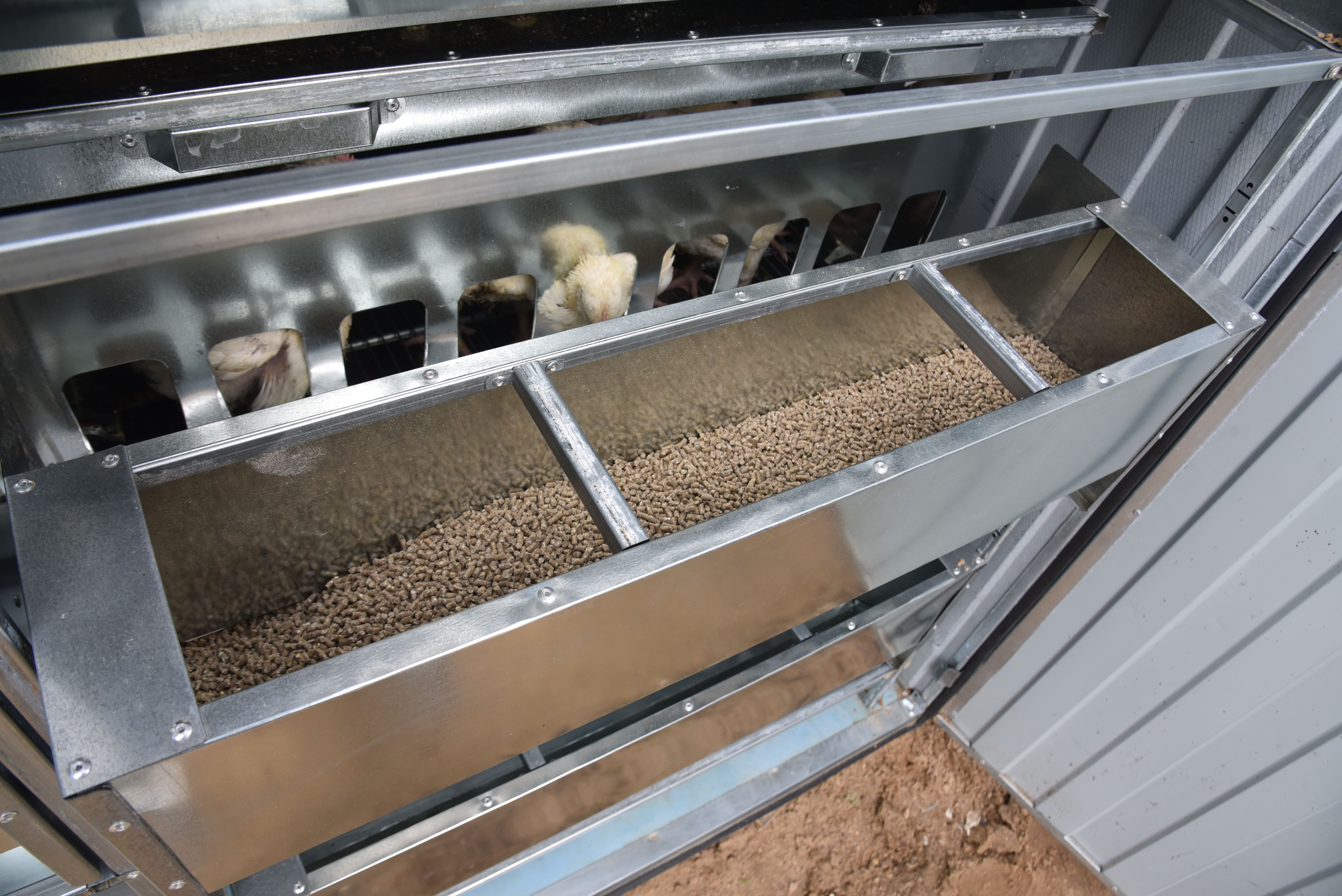 Автоматический уличный брудер "Идеальный папа". Фото 17 Автоматический уличный брудер "Идеальный папа". Фото 17