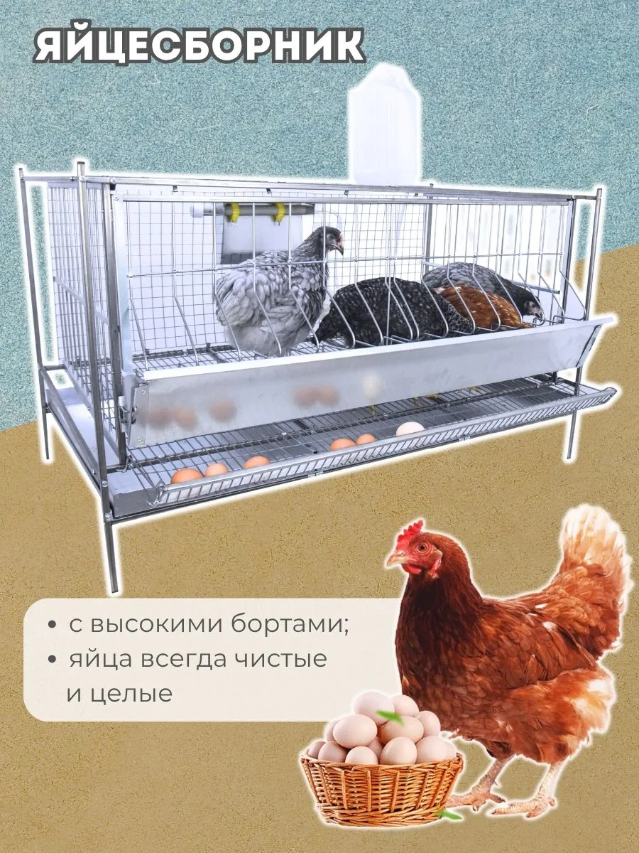Клетка для кур-несушек "База-сетка" 3-12 "МультиПро". Фото 4 Клетка для кур-несушек "База-сетка" 3-12 "МультиПро". Фото 4