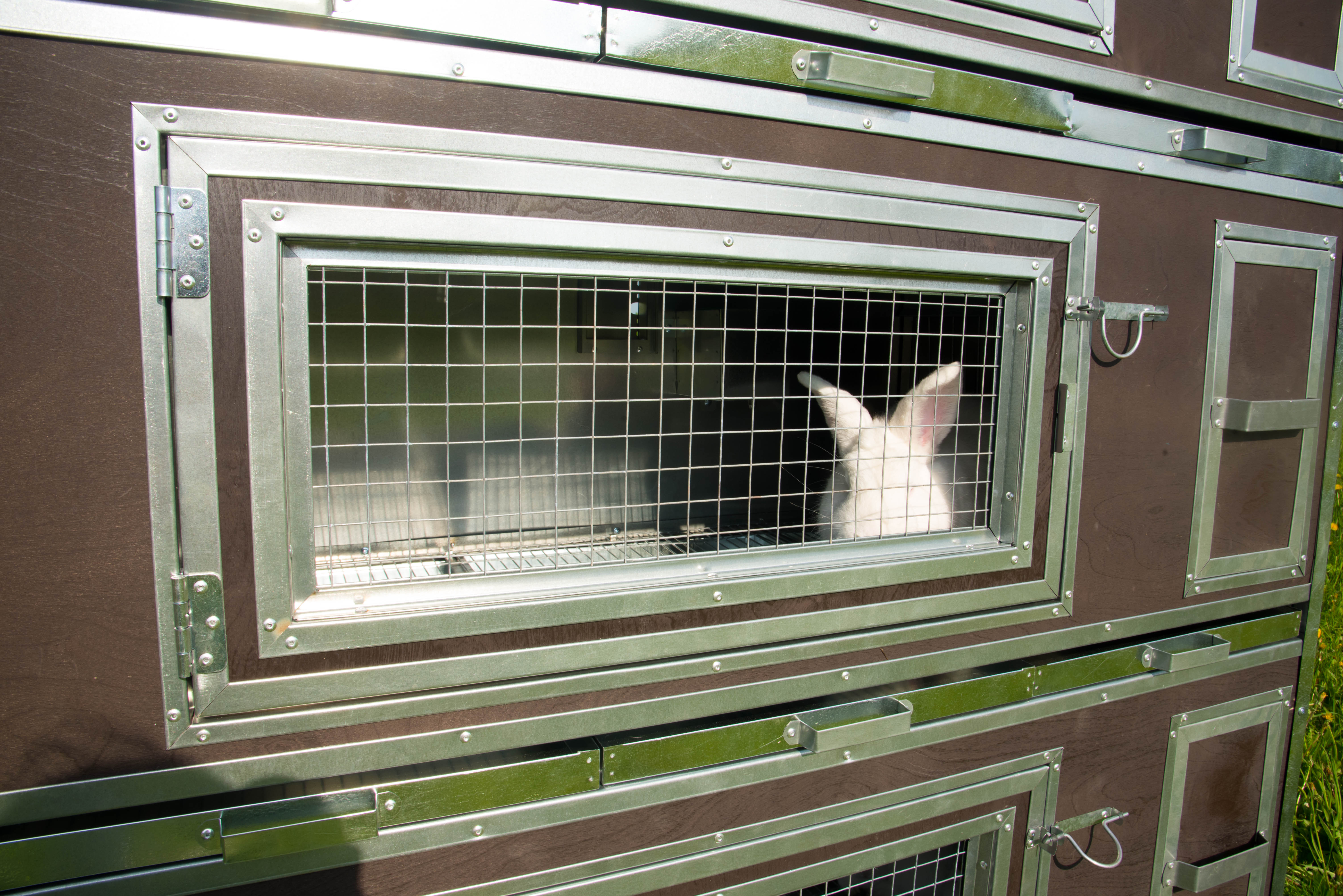 Утепленный отапливаемый крольчатник "Бестселлер" О-23. Фото 7