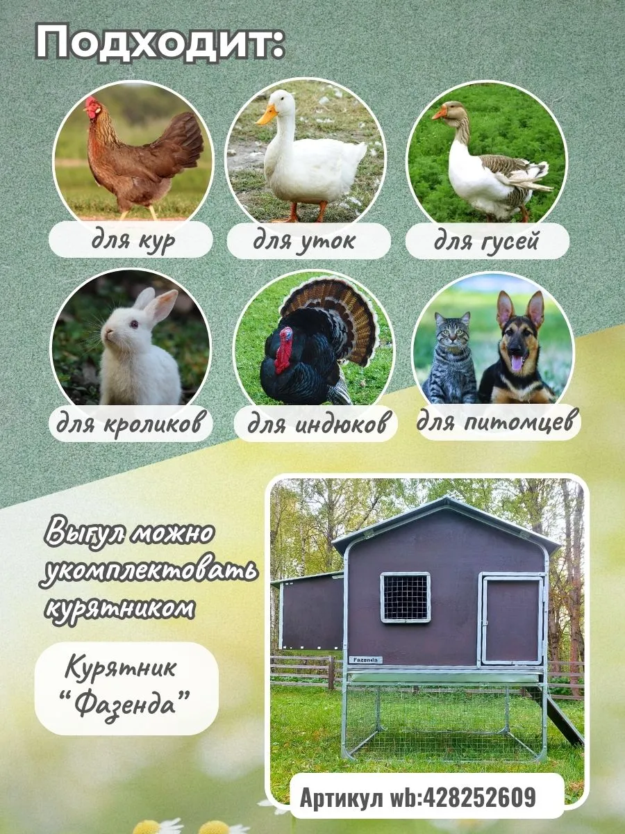 Выгул для курятника "Фазенда". Фото 6