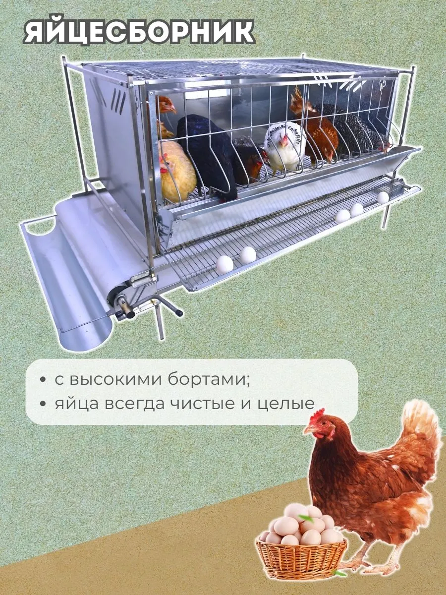 Клетка для кур-несушек "Люкс-металл" 2-12 "МультиПро". Фото 2