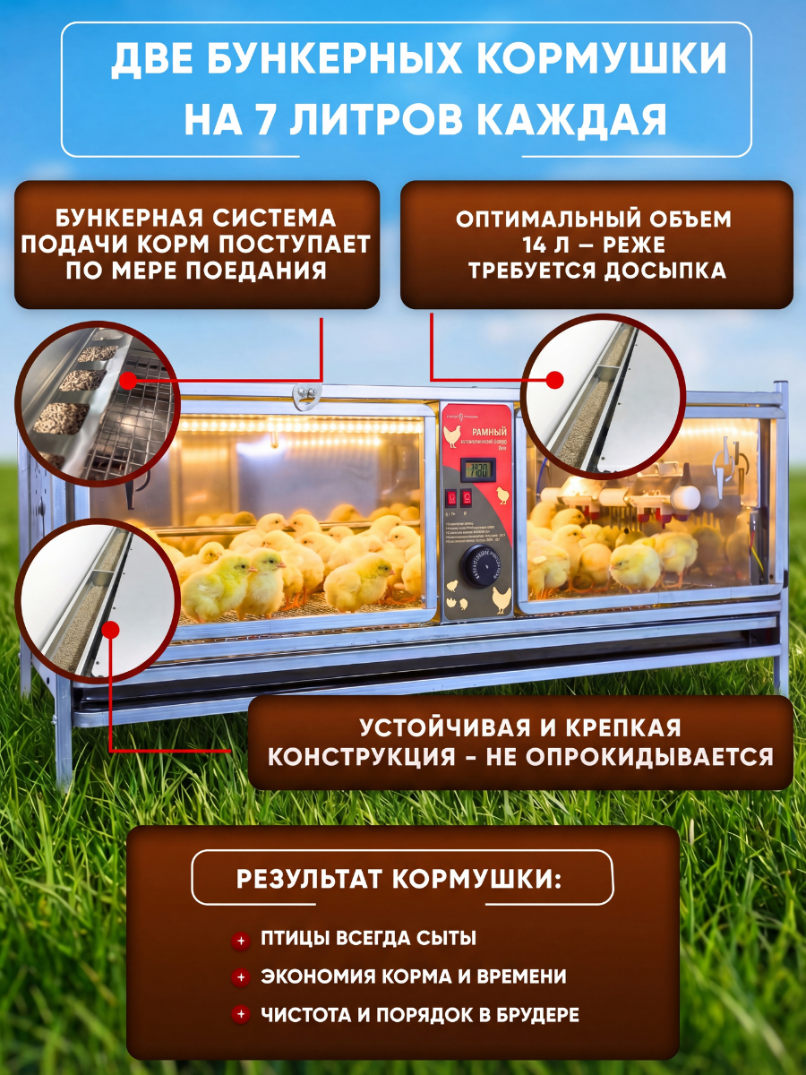 Рамный автоматический брудер 0714 Премиум. Фото 5