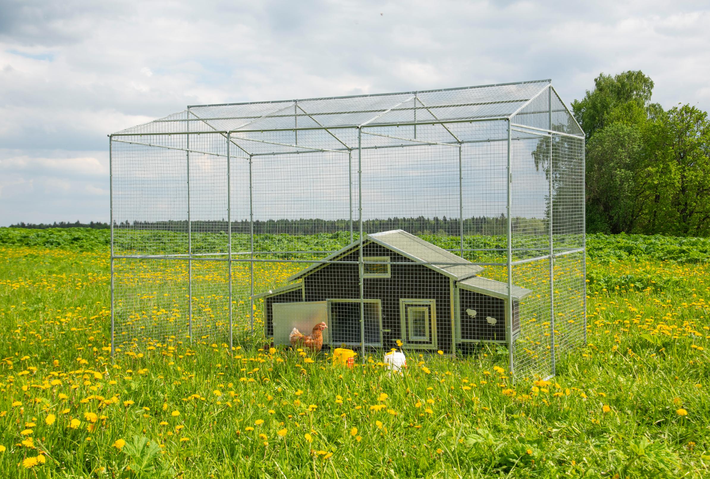 Выгул "Разгуляй"  из сетки 2-2-С. Фото 10