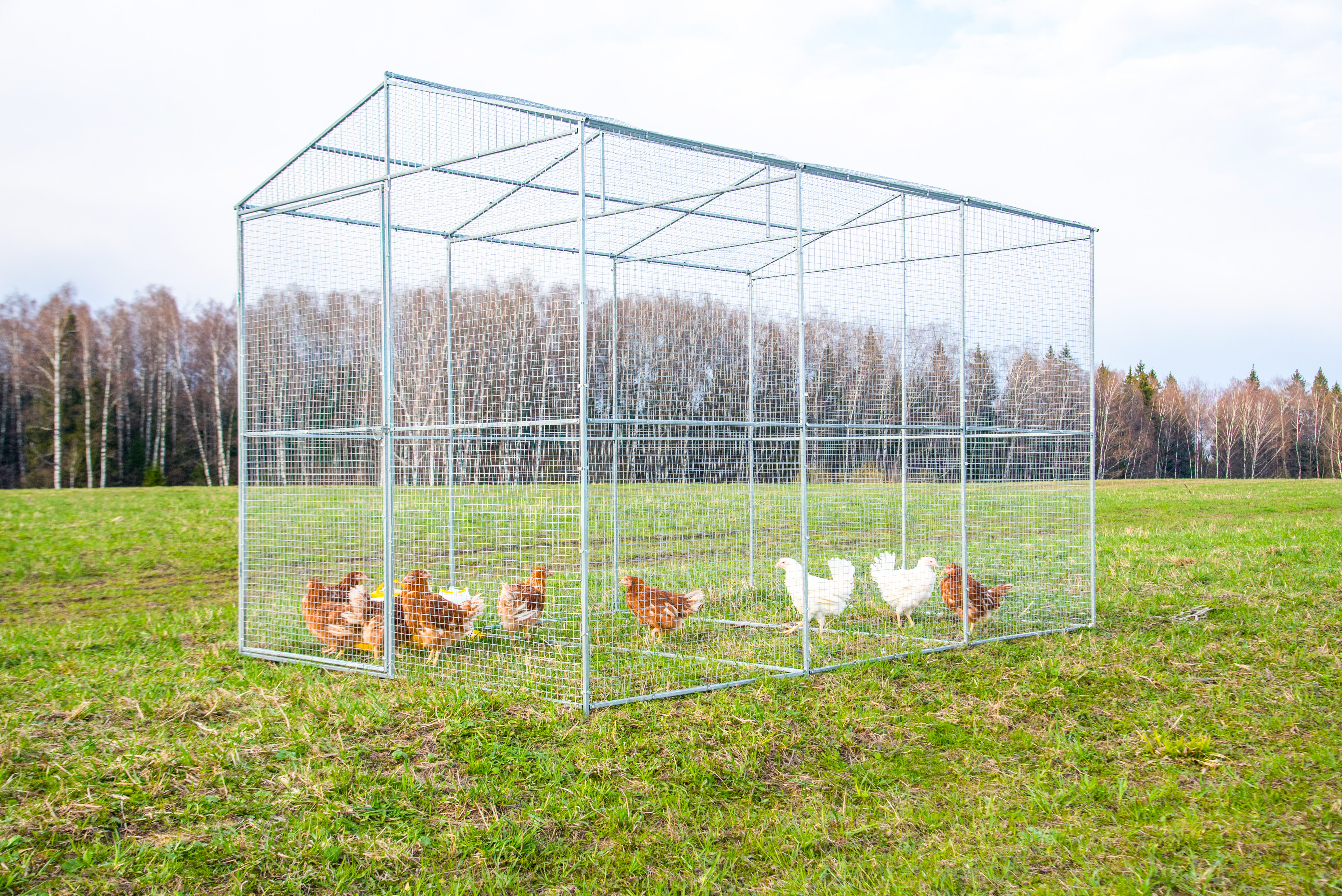 Выгул "Разгуляй" из сетки 2-4-С. Фото 2