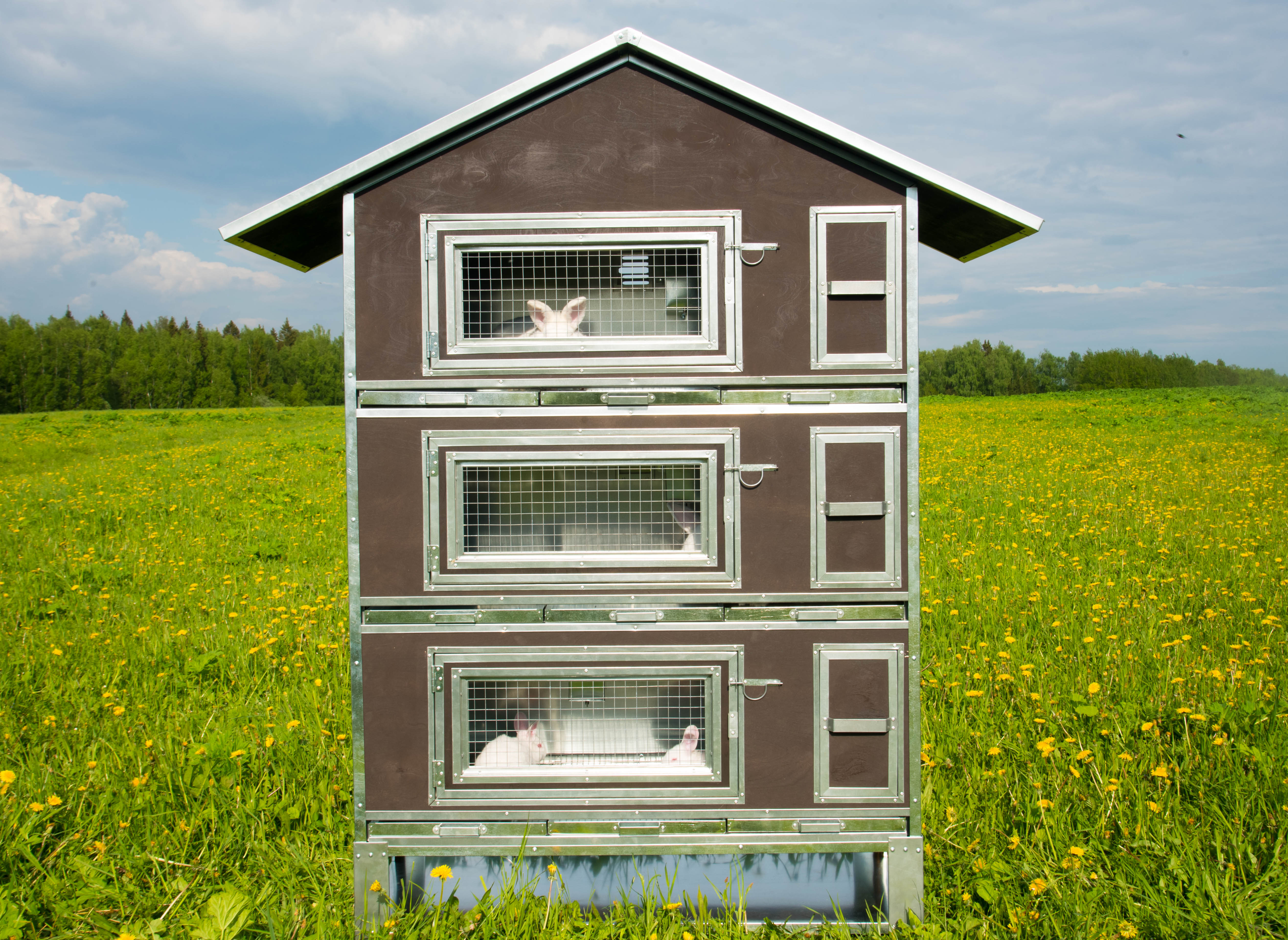 Утепленный отапливаемый крольчатник "Бестселлер" О-23. Фото 2