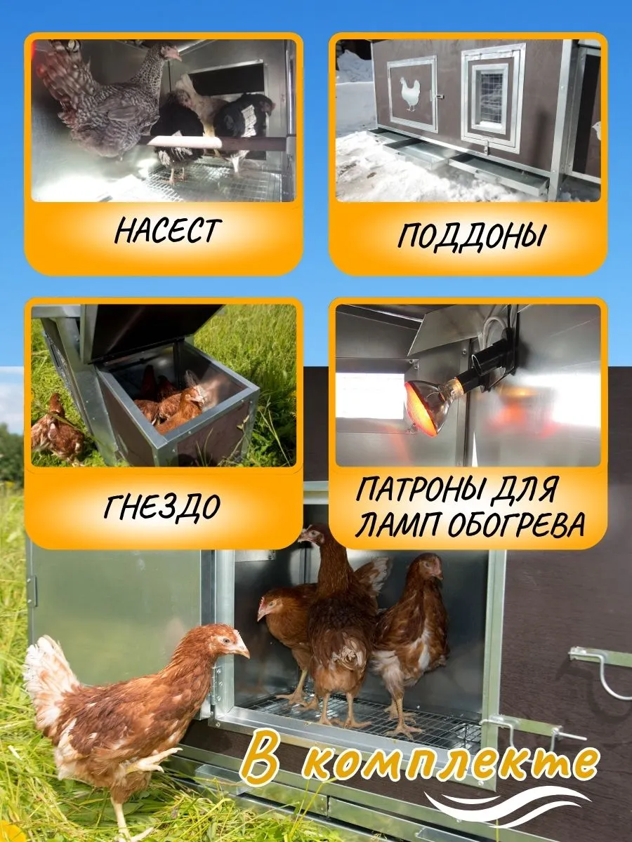 Утепленный отапливаемый уличный курятник "Каскад-1" на 8-12 кур. Фото 5