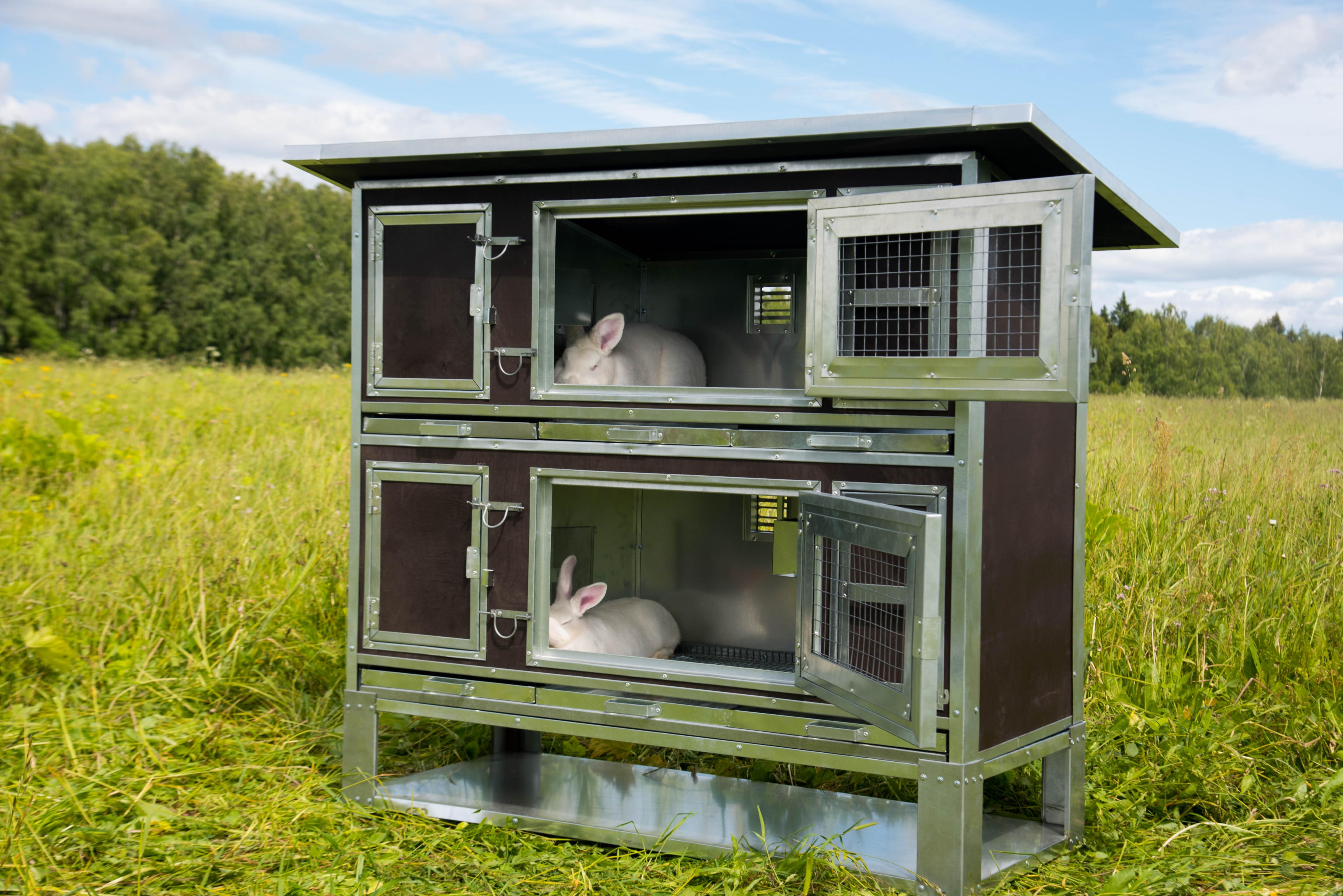 Утепленный отапливаемый крольчатник "Бестселлер" М-12. Фото 12