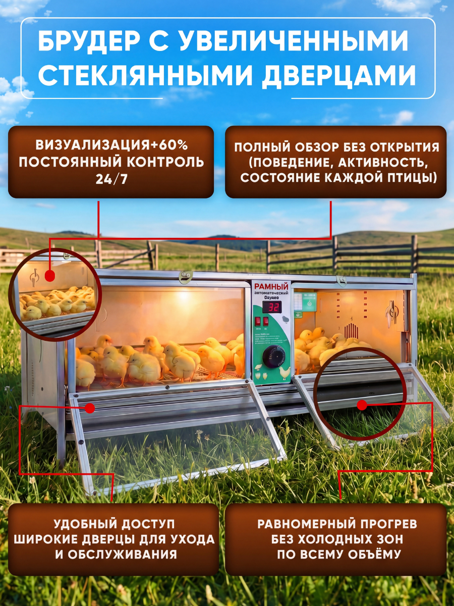 Рамный автоматический брудер 0712 Стандарт. Фото 5