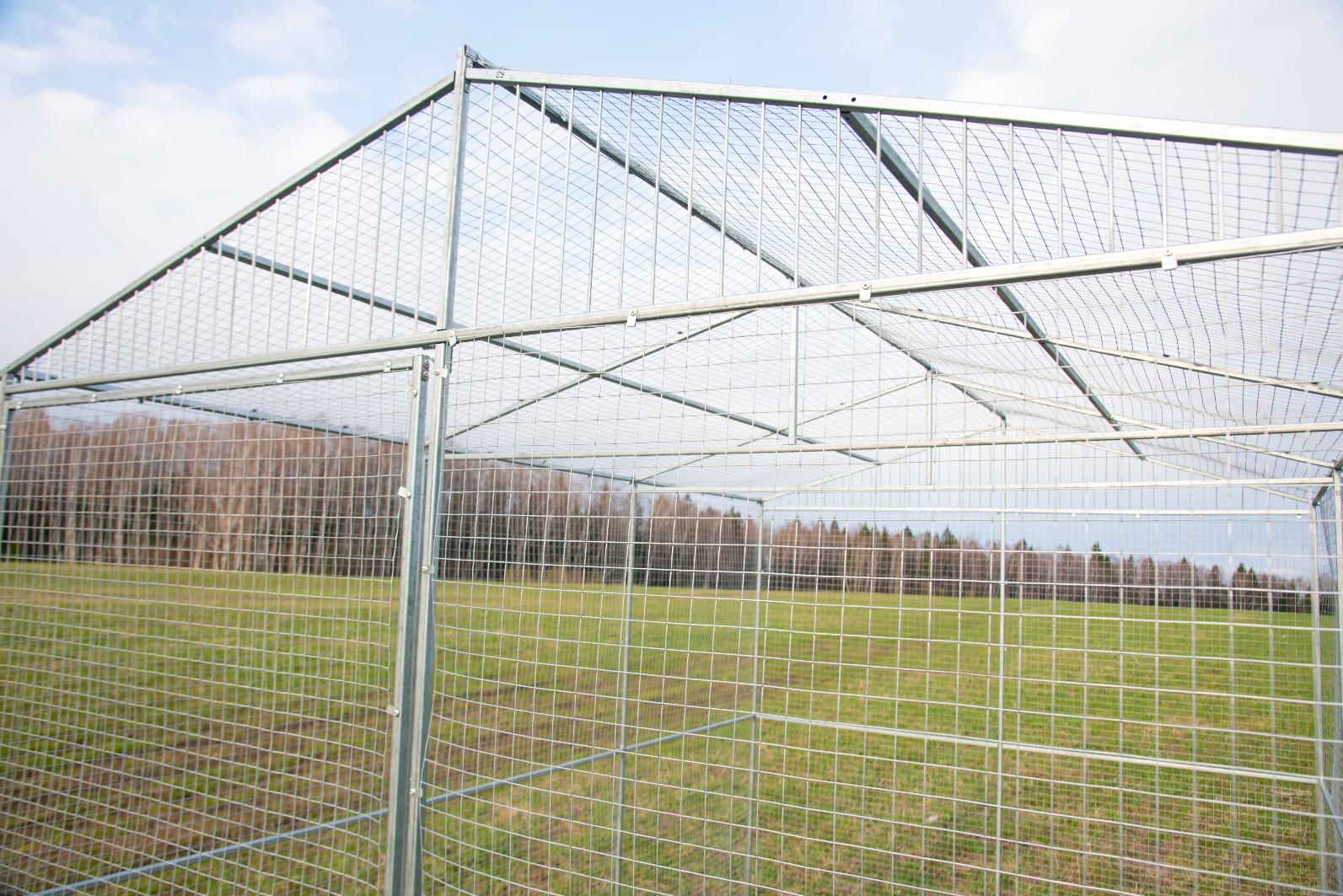 Выгул "Разгуляй"  из сетки 2-2-С. Фото 5