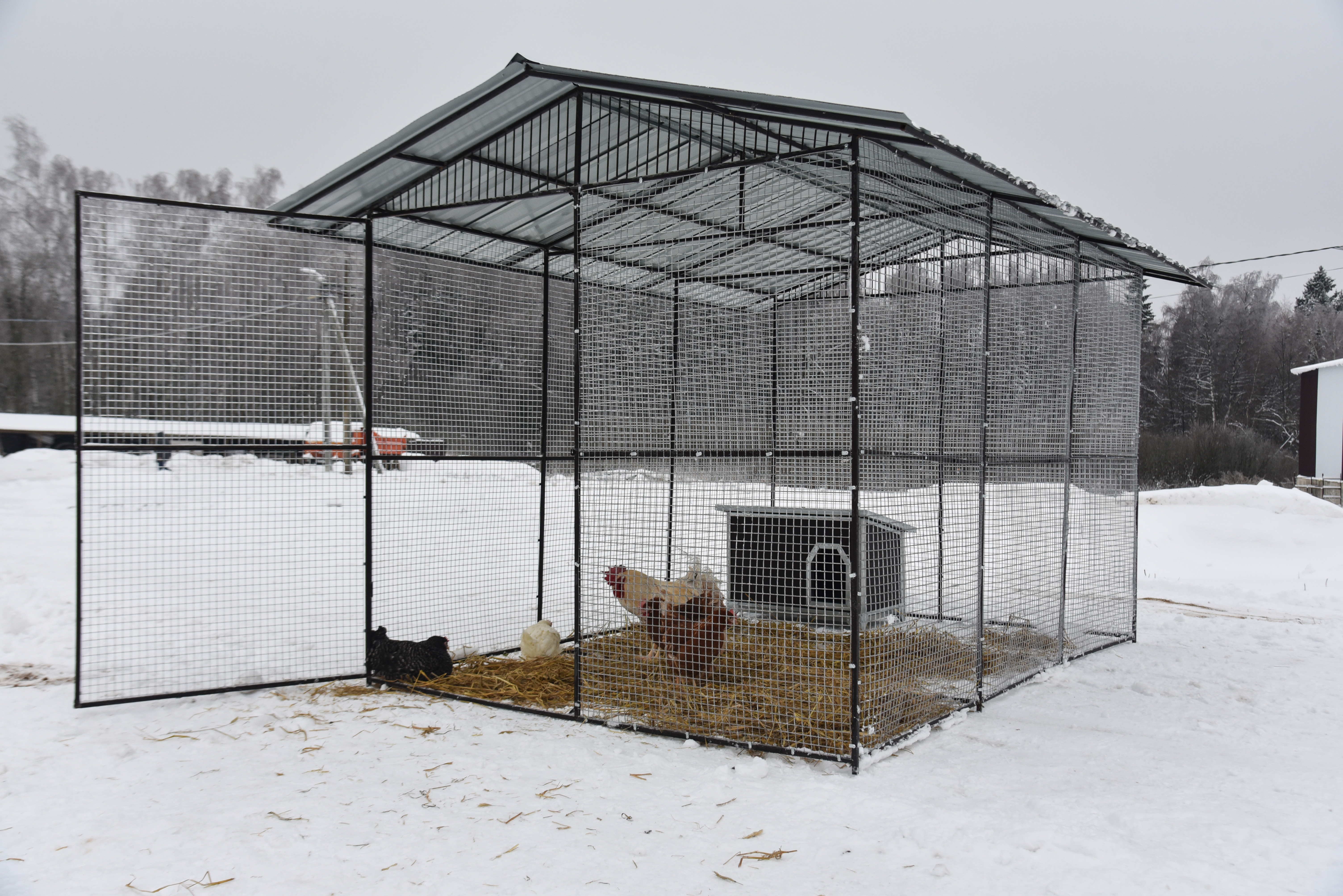 Выгул "Разгуляй" с крышей 2-6-К. Фото 11 Выгул "Разгуляй" с крышей 2-6-К. Фото 11