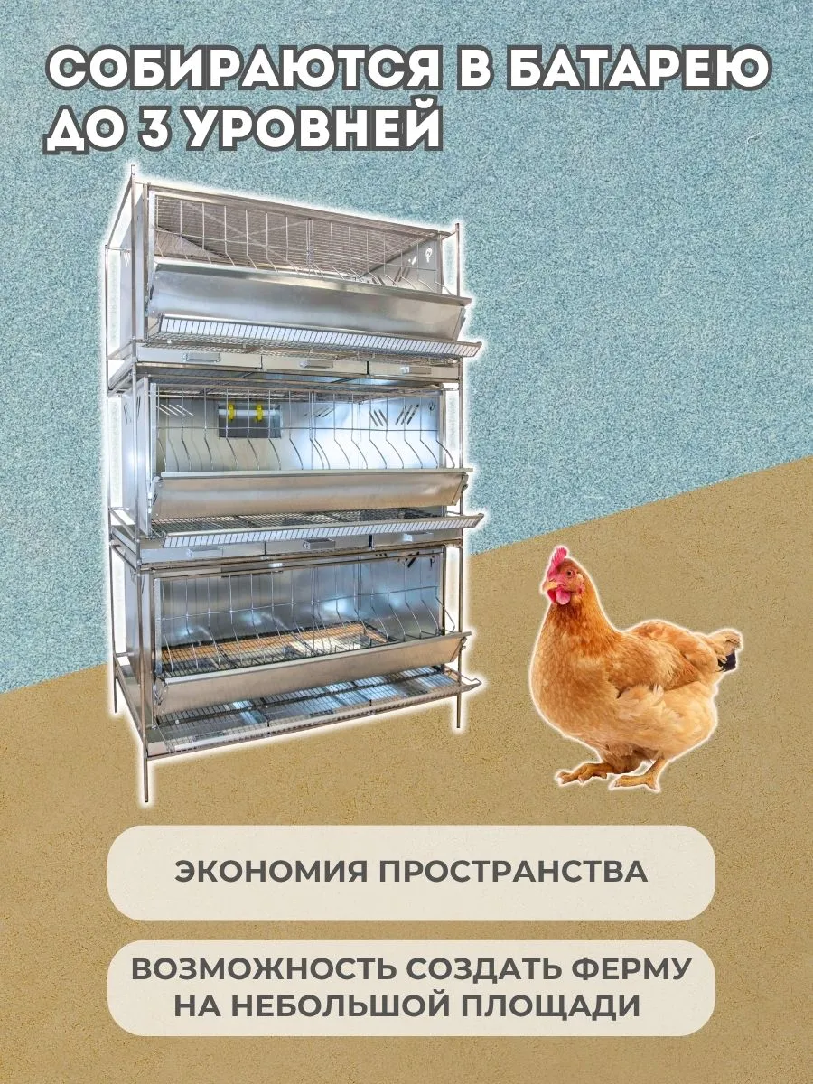 Клетка для кур-несушек "База-металл" 1-12 "МультиПро" . Фото 6 Клетка для кур-несушек "База-металл" 1-12 "МультиПро" . Фото 6