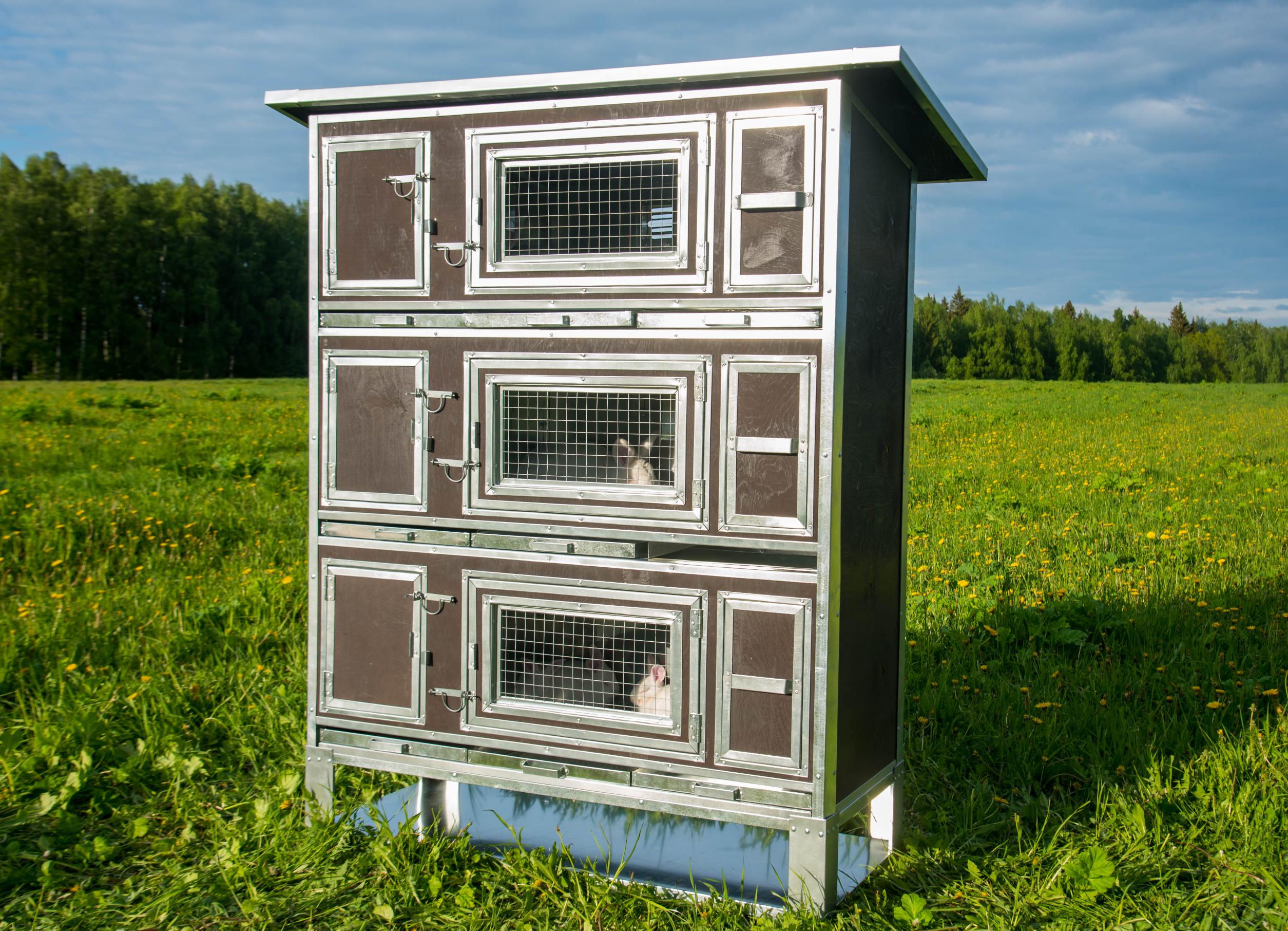 Утепленный отапливаемый крольчатник "Бестселлер" М-13. Фото 10 Утепленный отапливаемый крольчатник "Бестселлер" М-13. Фото 10