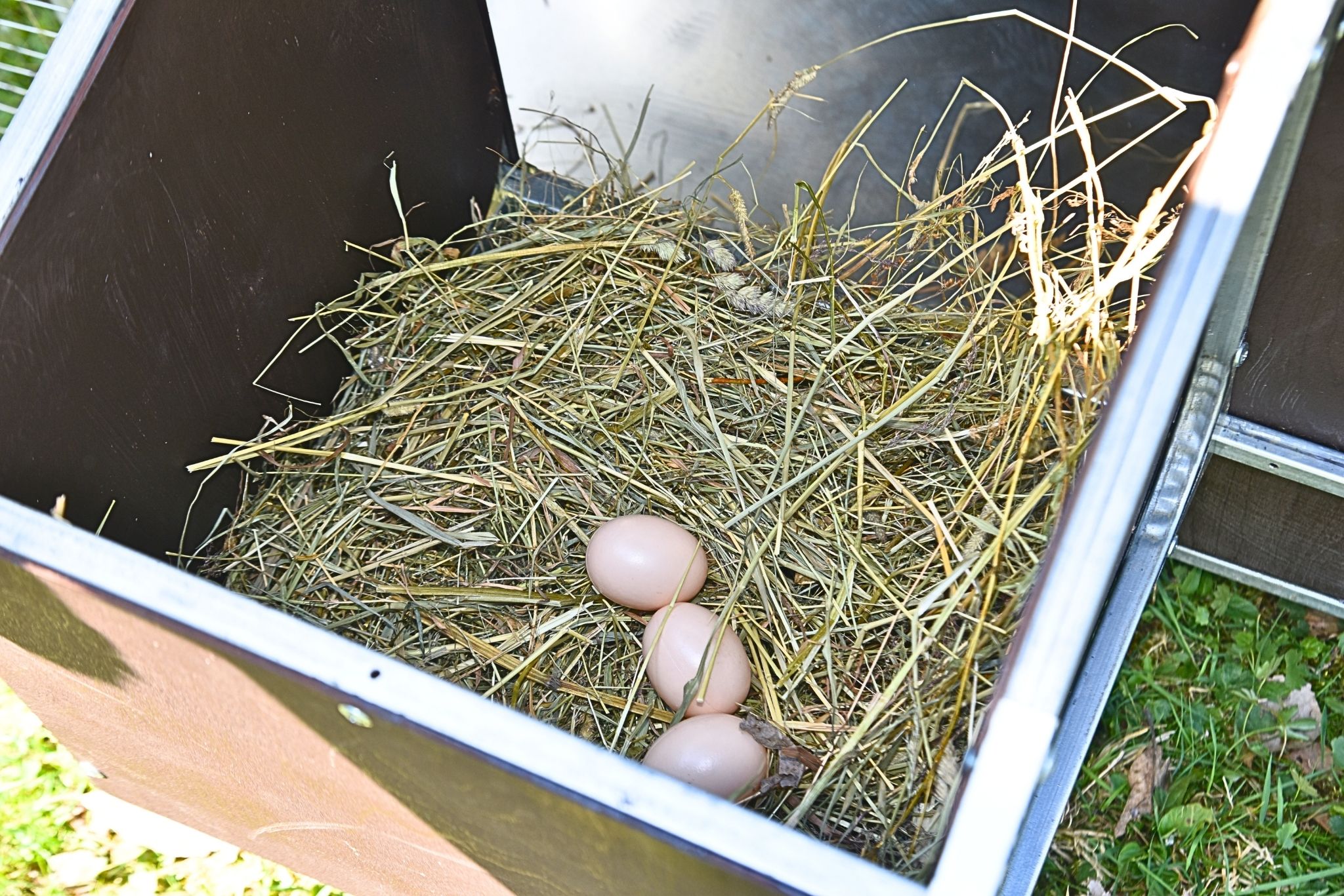 Курятник "Фаворит" на 8-10 кур. Фото 25