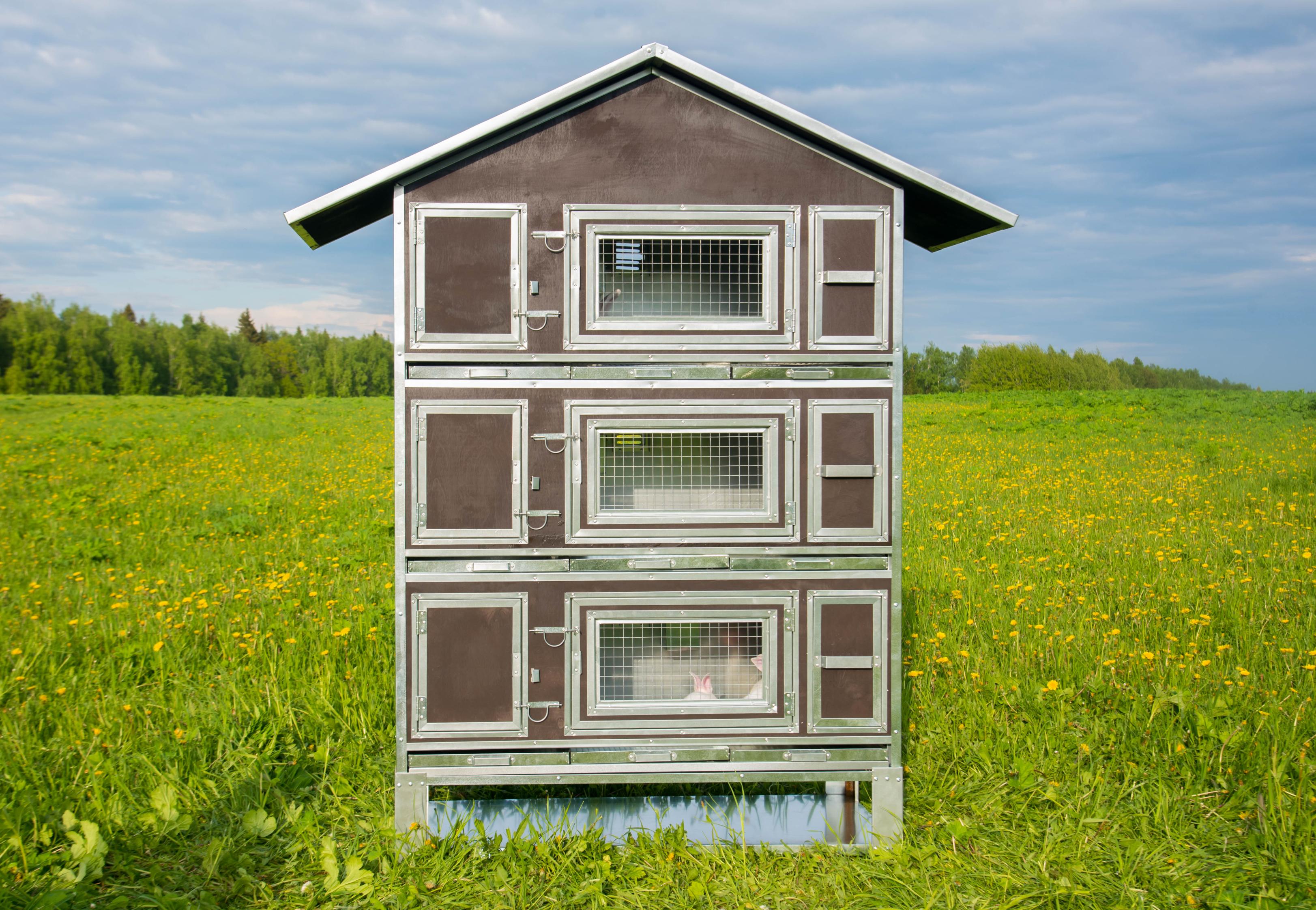 Утепленный отапливаемый крольчатник "Бестселлер" М-23. Фото 3