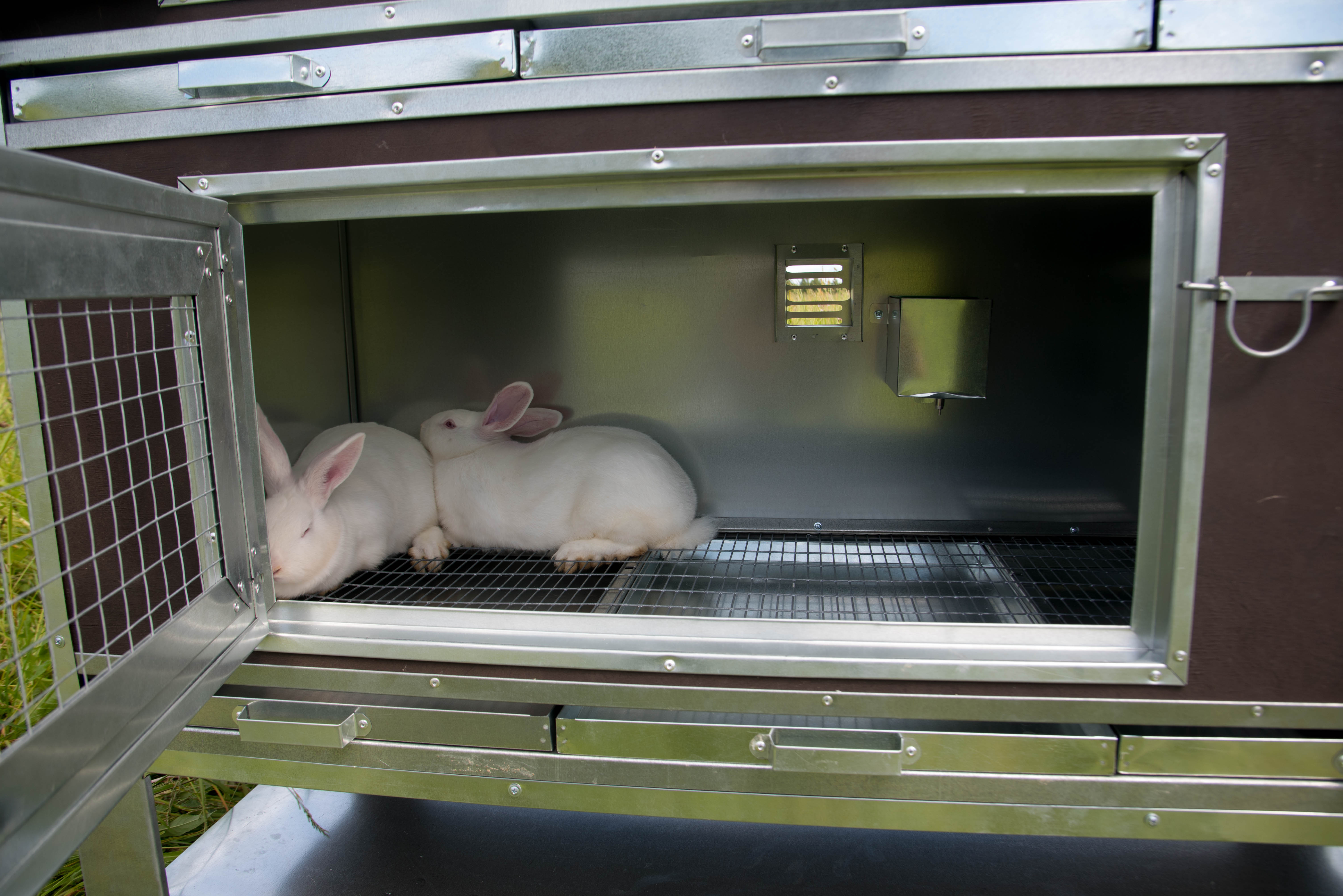 Утепленный отапливаемый крольчатник "Бестселлер" О-12. Фото 17 Утепленный отапливаемый крольчатник "Бестселлер" О-12. Фото 17