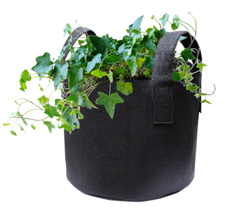 Войлочная сумка для выращивания растений. Фото 1
