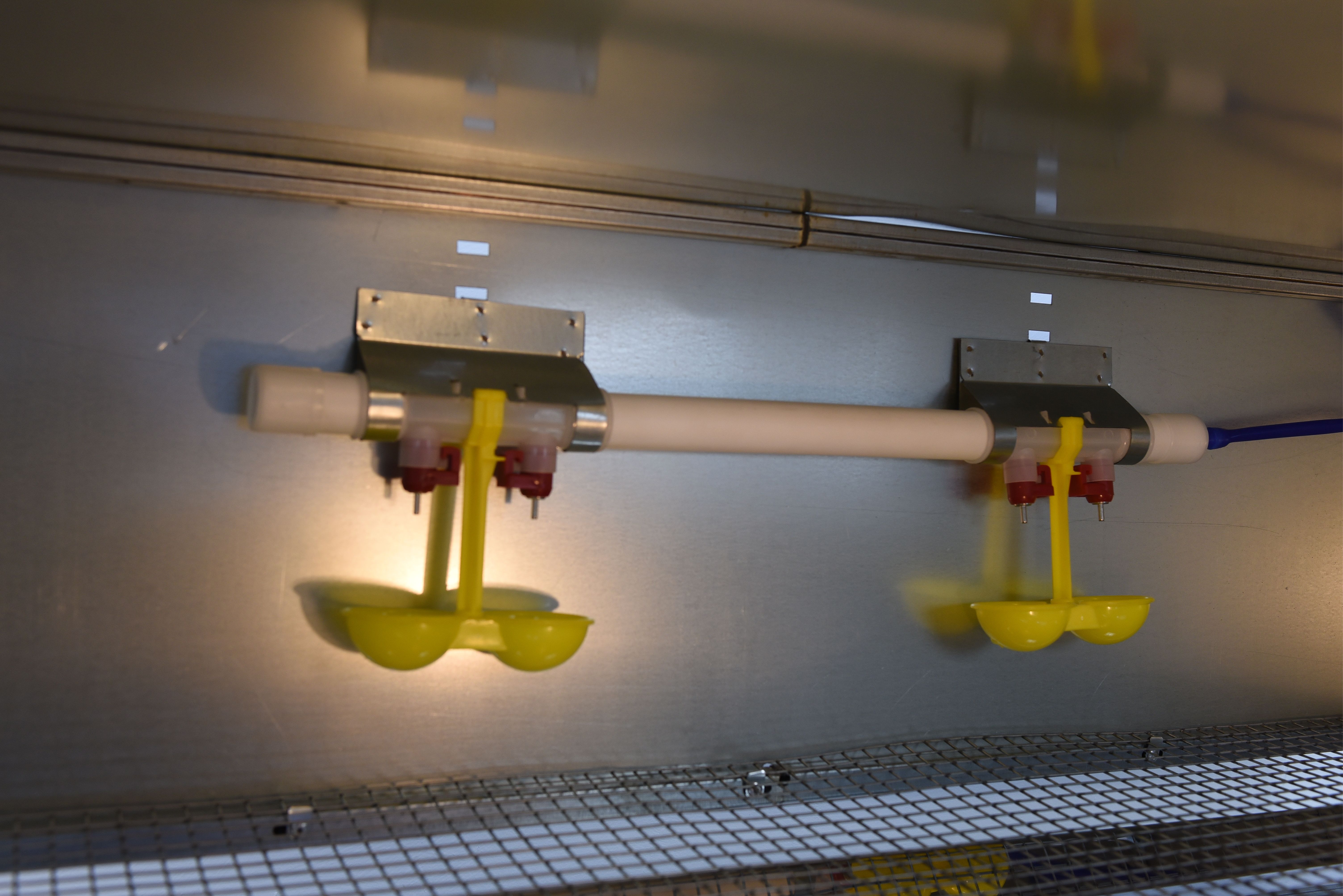 Рамный цифровой брудер 0709 Стандарт. Фото 21