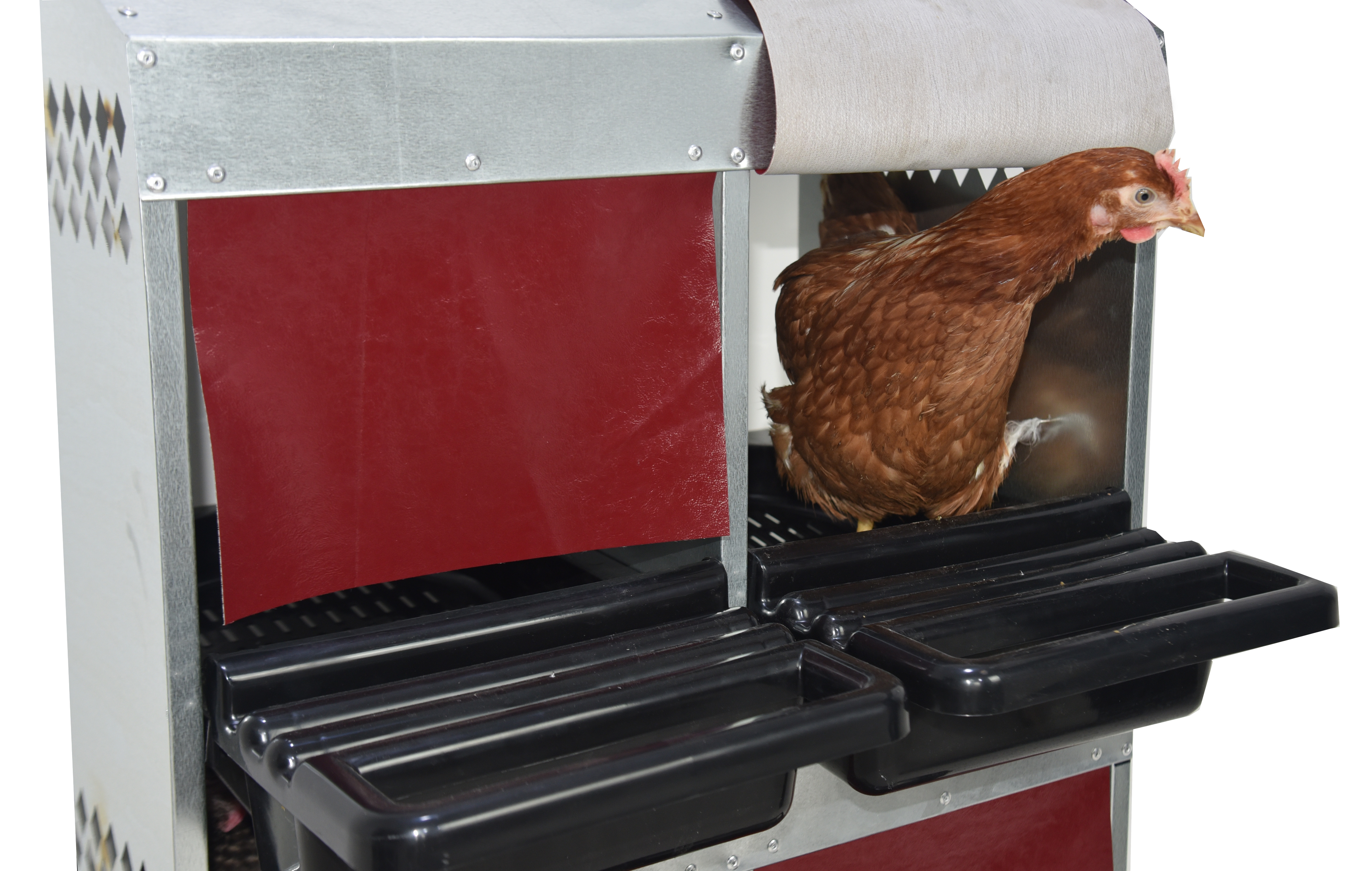 Гнездо для кур-несушек "Компакт" 3-1. Фото 8
