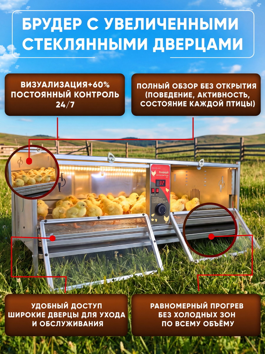 Рамный автоматический брудер 0714 Премиум. Фото 3