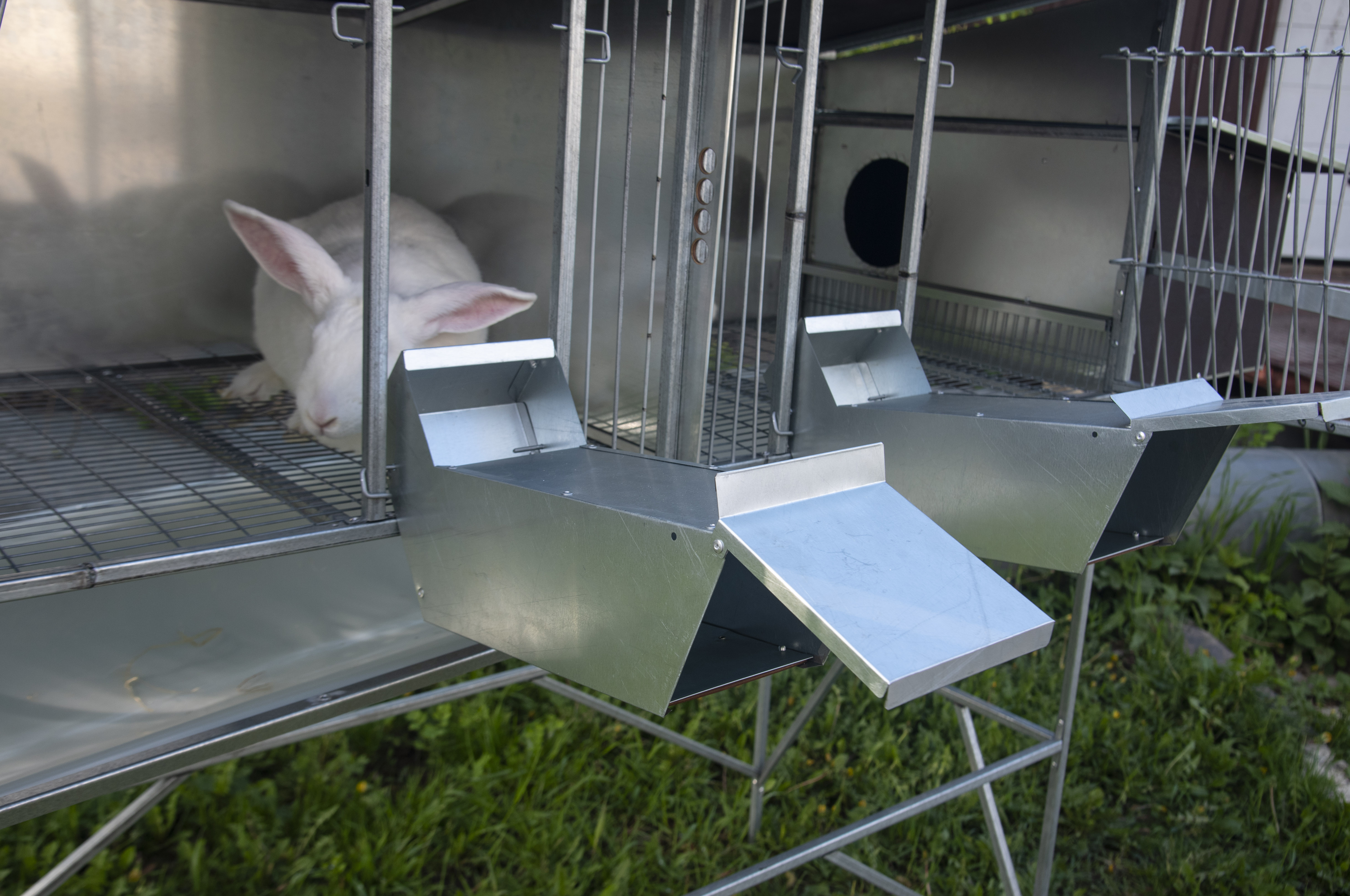 Уличный домик для кроликов "Фаворит" КР2-О-О. Фото 9 Уличный домик для кроликов "Фаворит" КР2-О-О. Фото 9