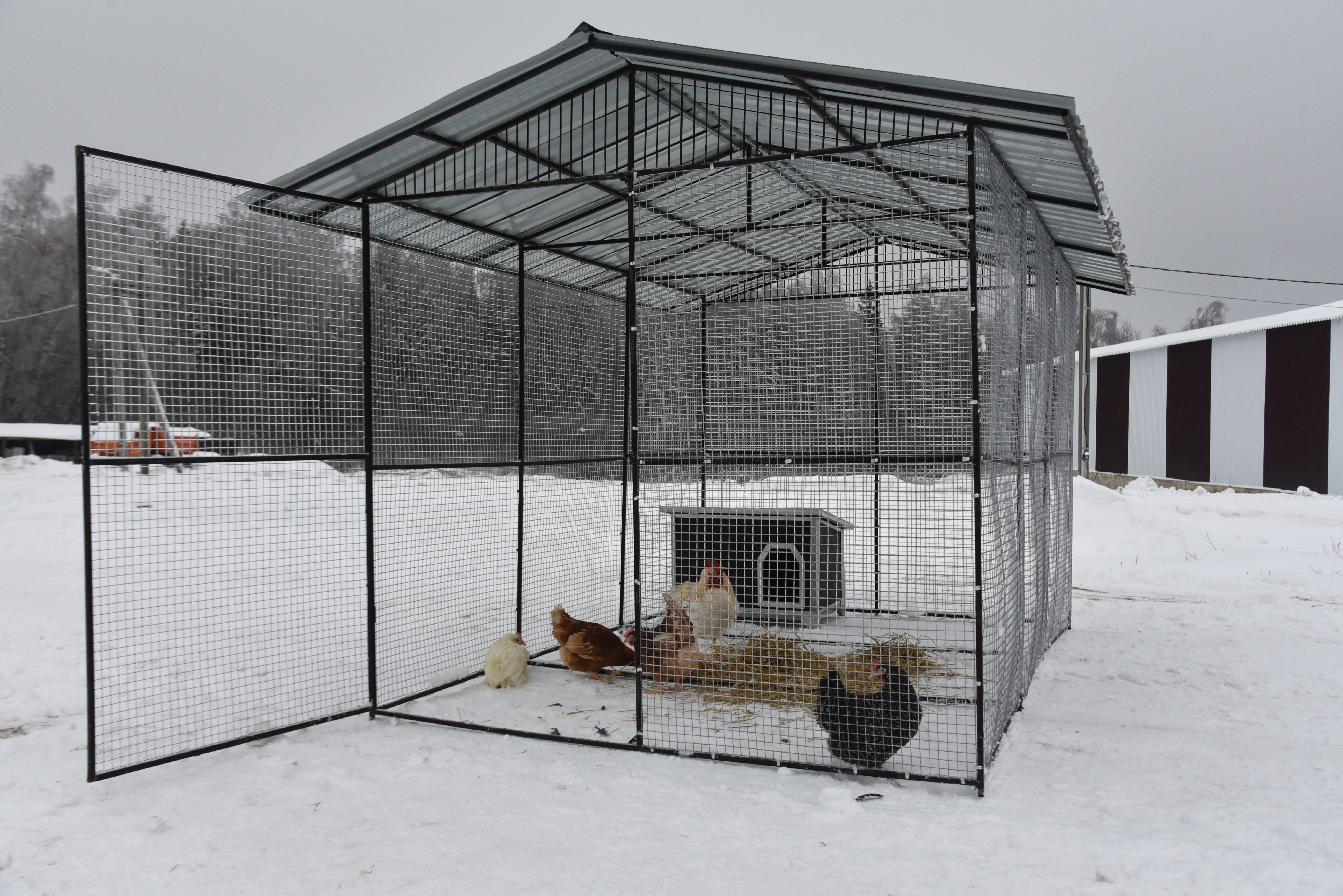 Выгул "Разгуляй" с крышей 2-5-К. Фото 12