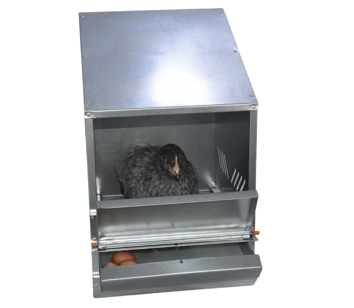 Гнездо для кур-несушек 2-1. Фото 5