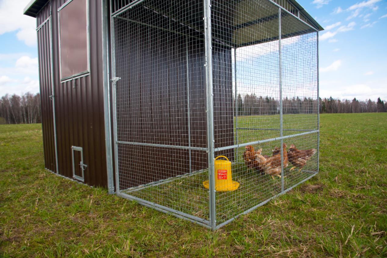 Выгул "Разгуляй" приставной с крышей 1-1-КП. Фото 4