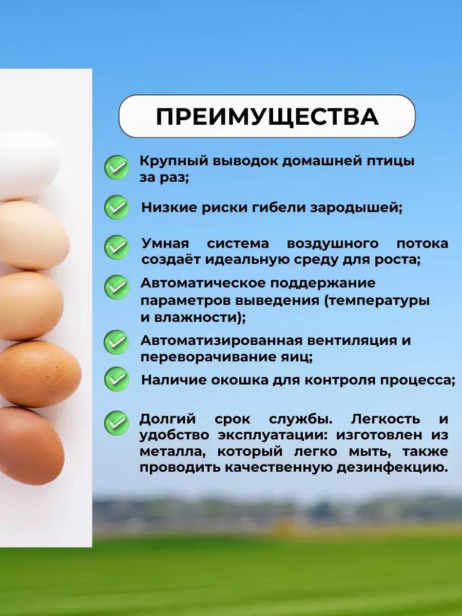 Инкубатор АИ-264 для всех видов яиц. Фото 8