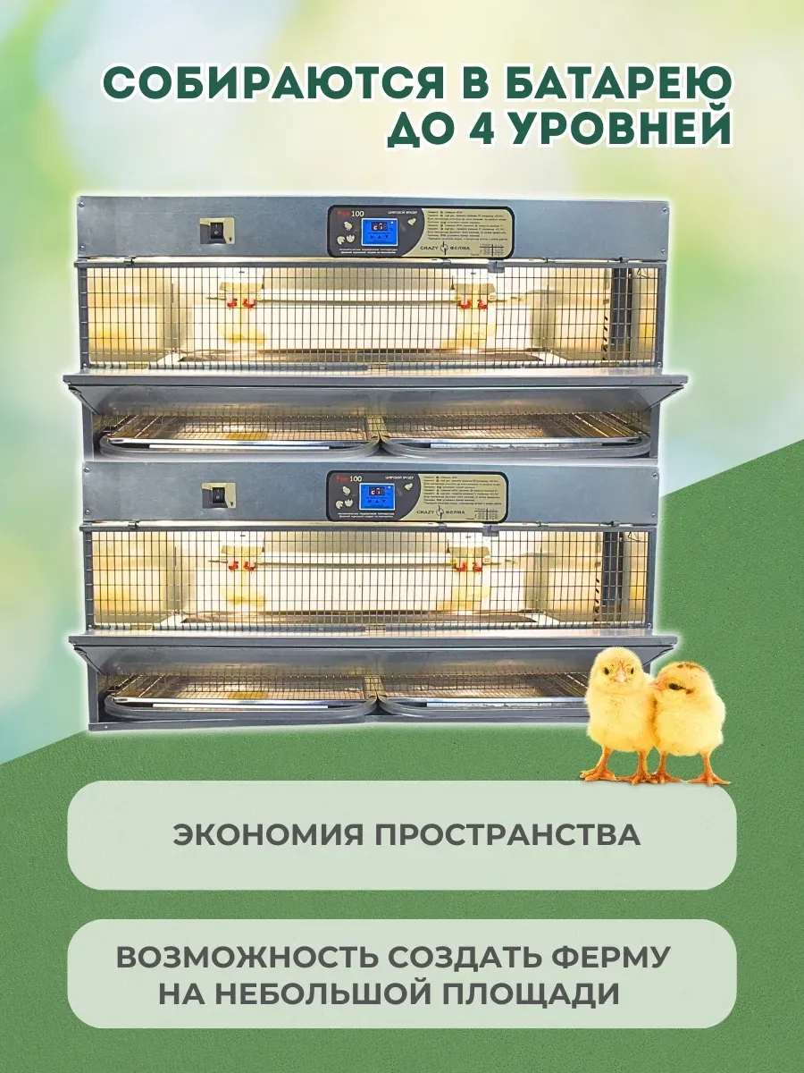 Брудер для цыплят "Проф 100 ЗE" с электронным терморегулятором корпус оцинковка. Фото 9