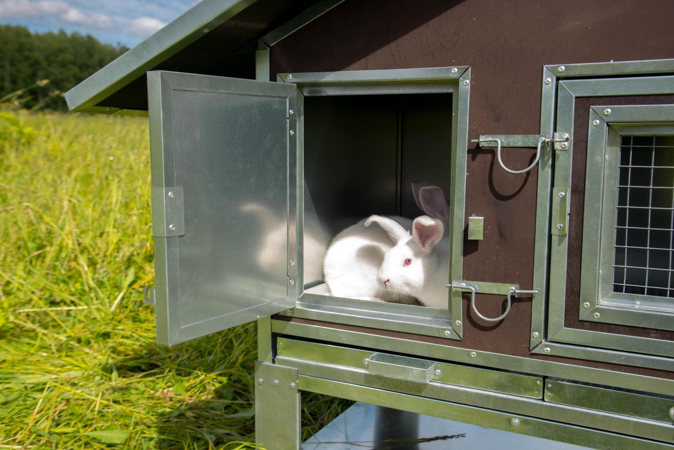 Утепленный отапливаемый крольчатник "Бестселлер" М-21. Фото 7 Утепленный отапливаемый крольчатник "Бестселлер" М-21. Фото 7
