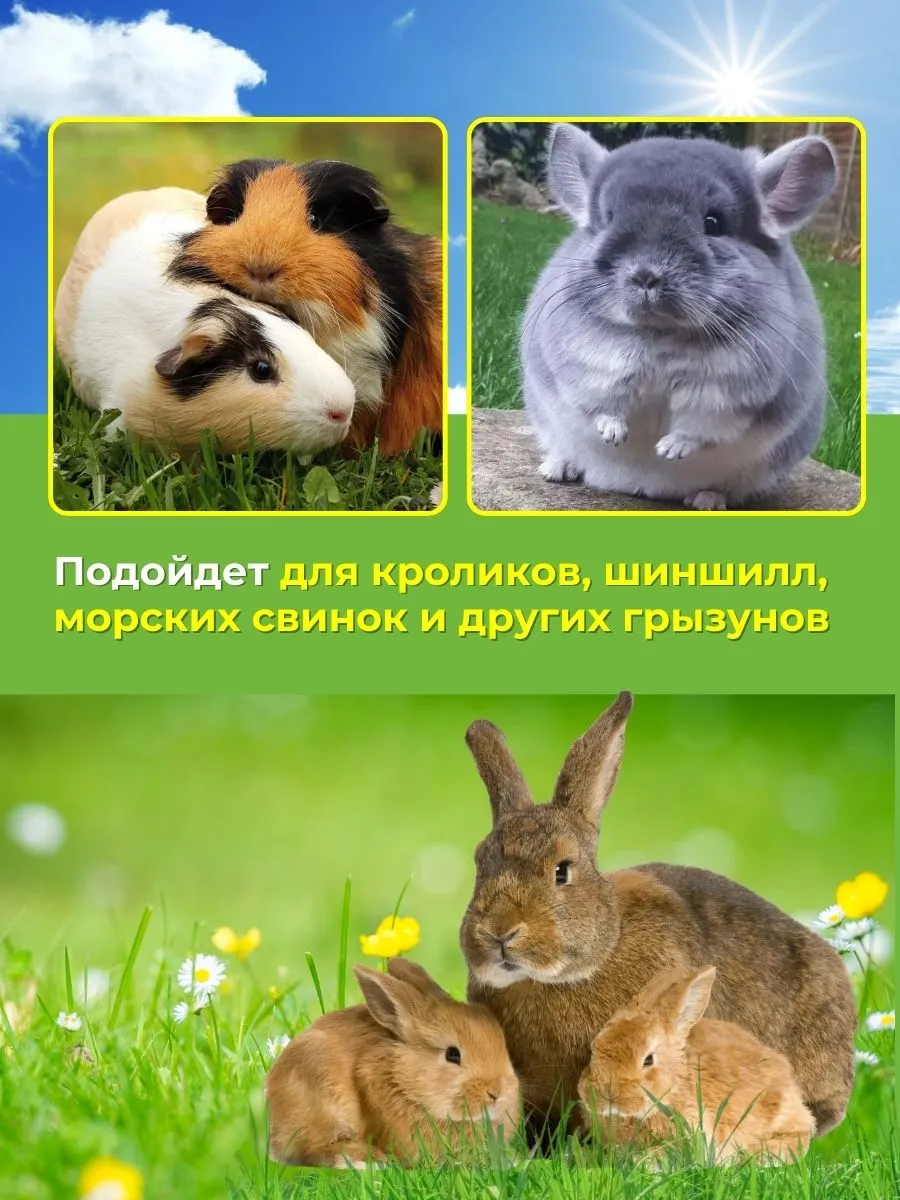 Поилка для кроликов ПНБ-1 л. Фото 4