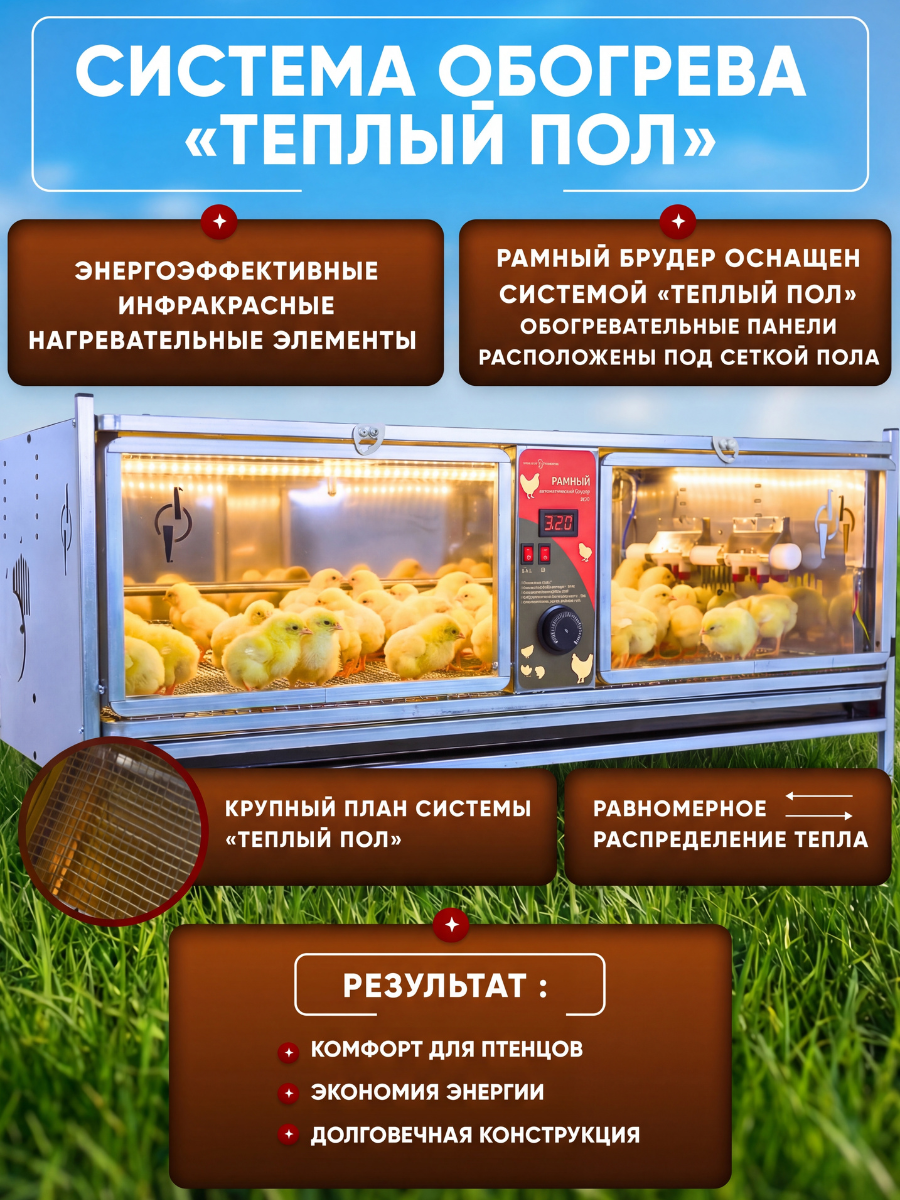 Рамный автоматический брудер 0714 Премиум. Фото 4