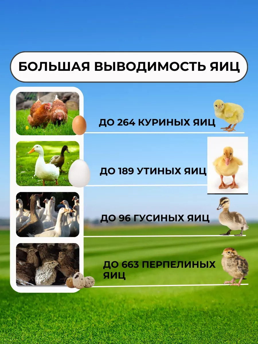 Инкубатор АИ-264 для всех видов яиц. Фото 1