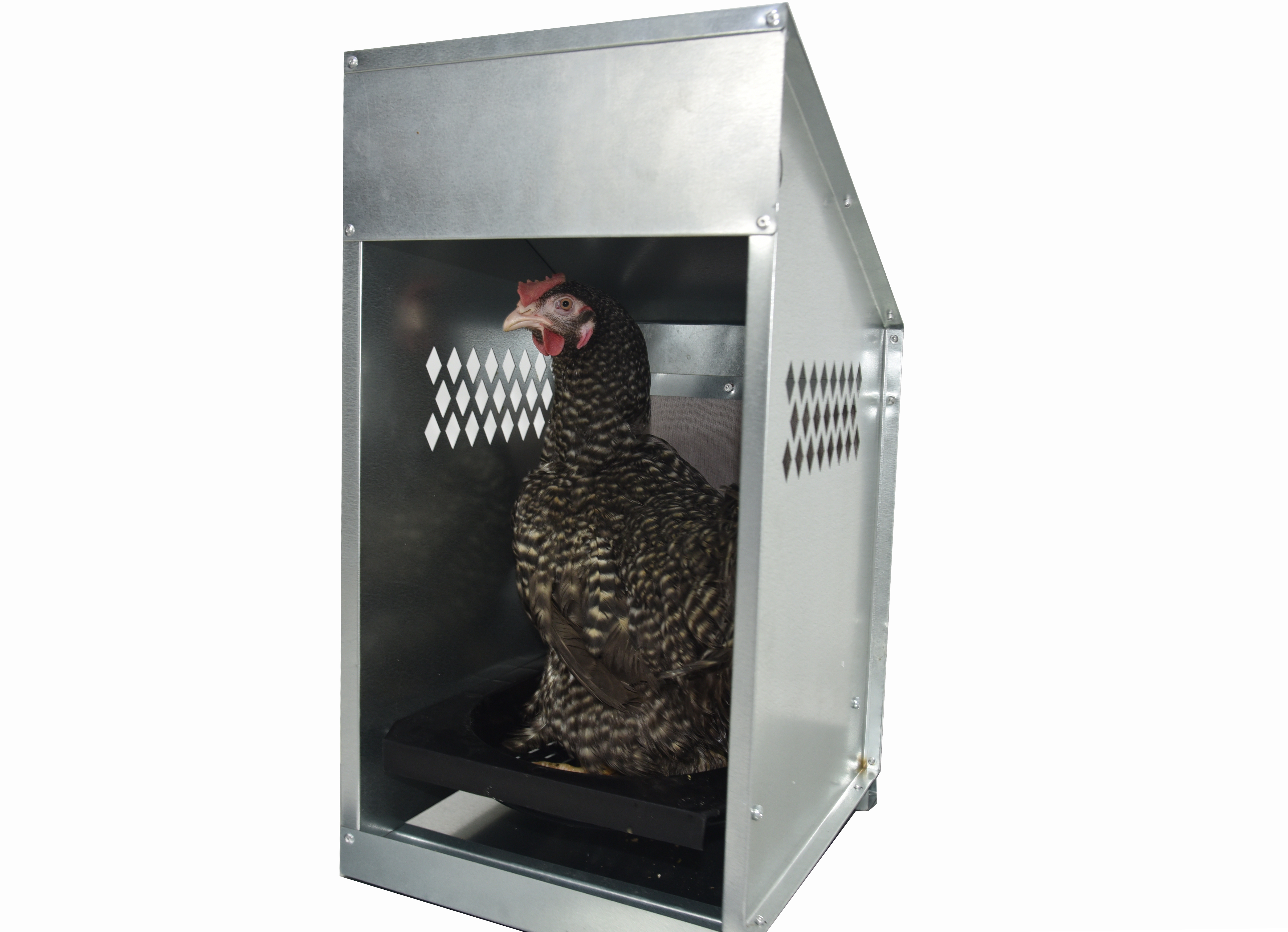 Гнездо для кур-несушек "Компакт" 3-1. Фото 15