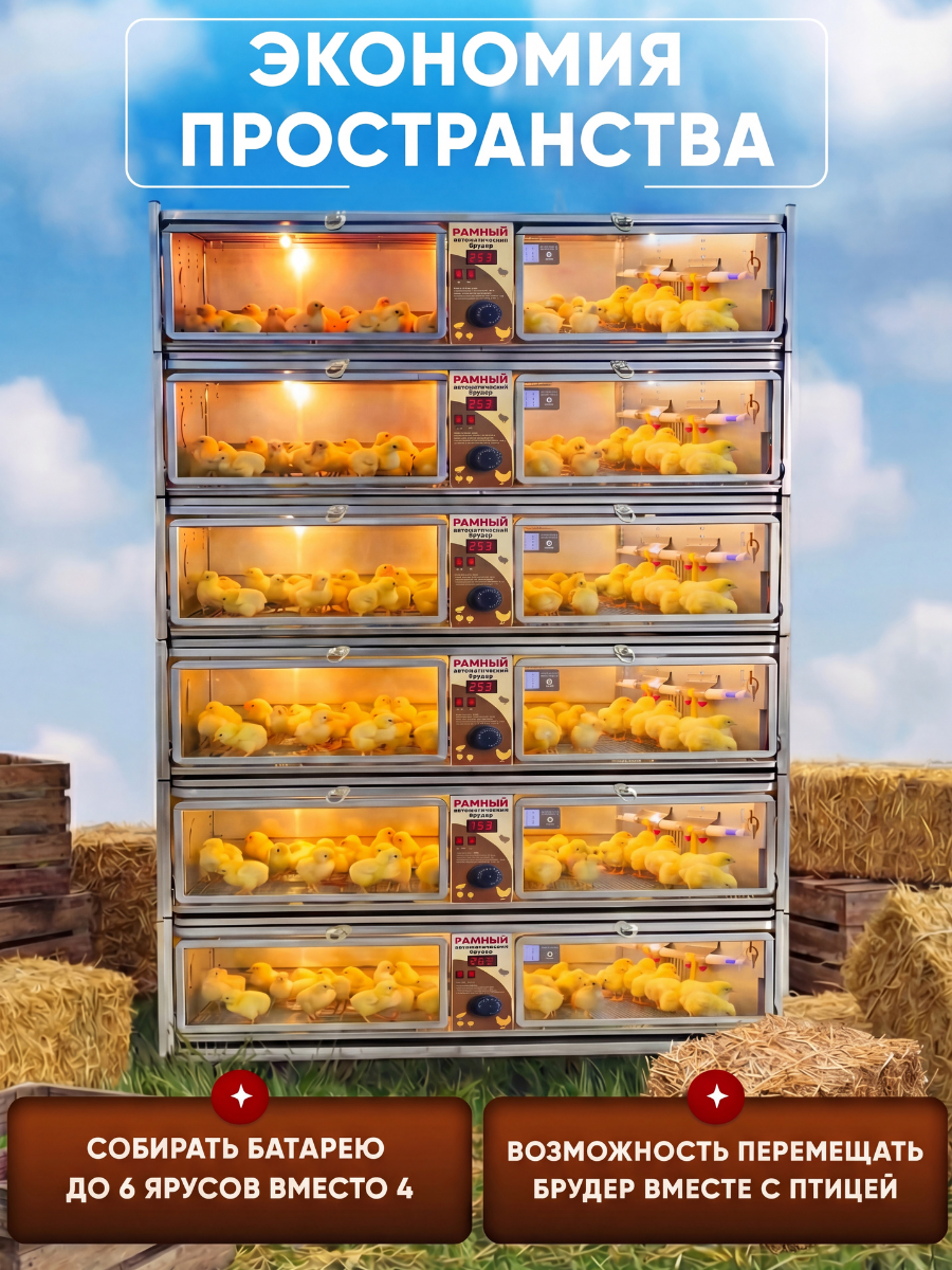 Рамный автоматический брудер 0713 Престиж. Фото 10