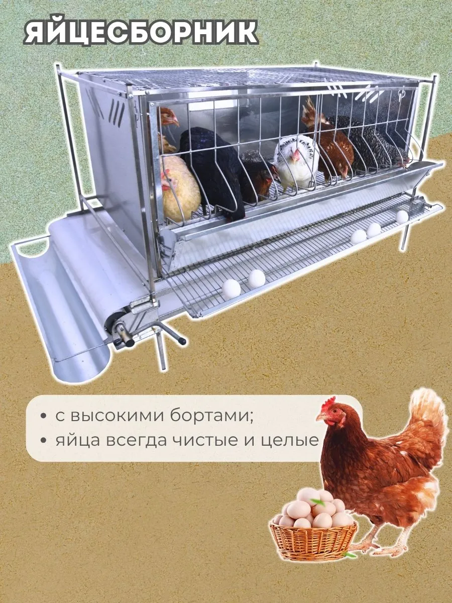 Клетка для кур-несушек "Люкс-сетка" 1-12 "МультиПро". Фото 4