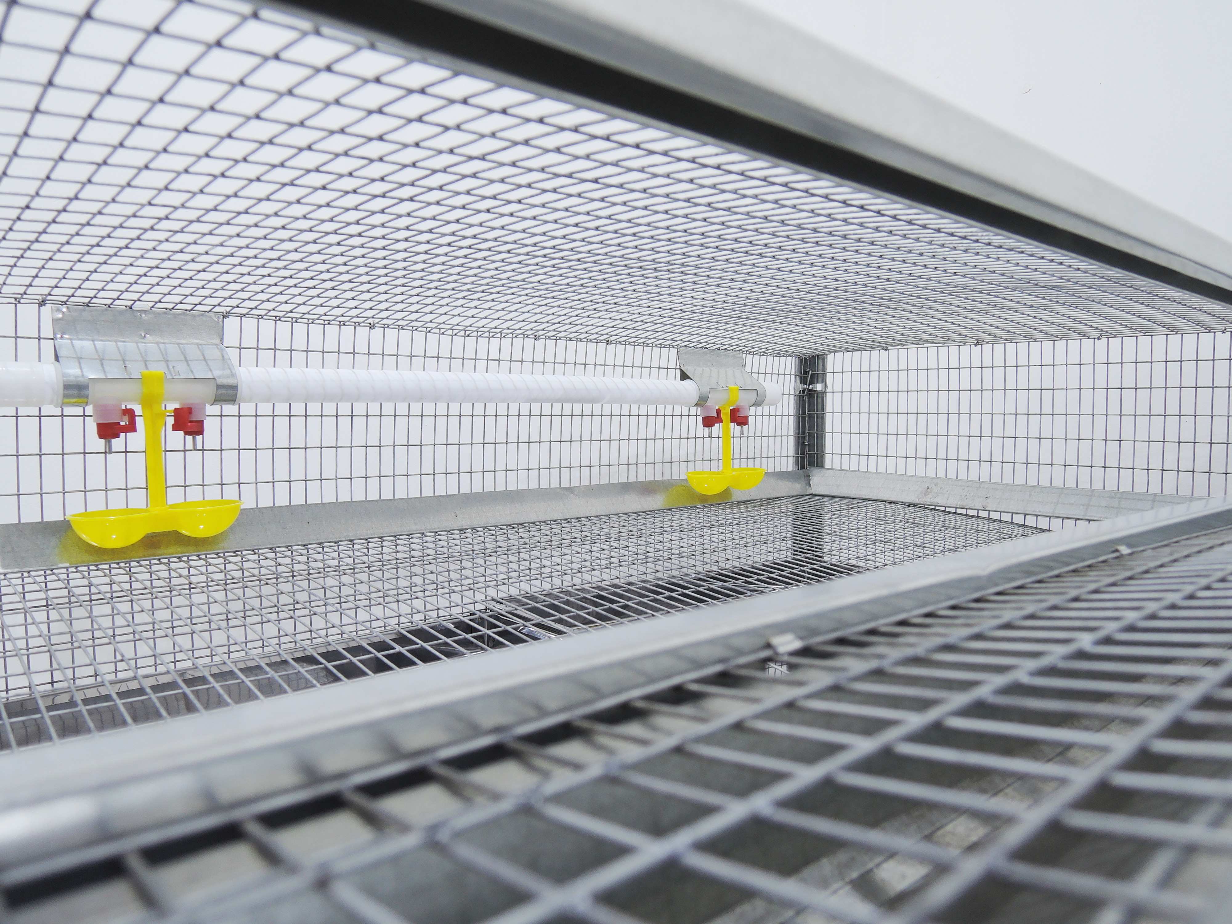 Клетка для перепелов "Гранд" на 100 голов. Фото 4 Клетка для перепелов "Гранд" на 100 голов. Фото 4