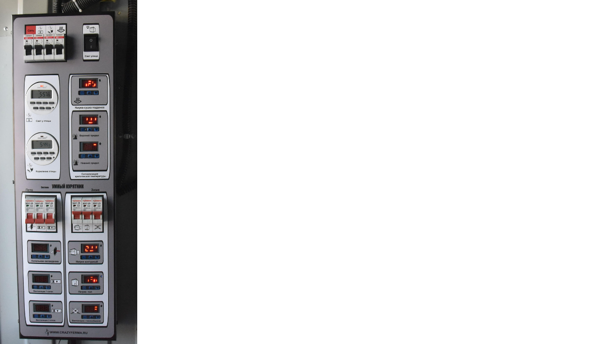 11.png