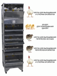 Домашние фермы