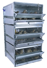 Рамная клетка для перепелов на 90 голов 