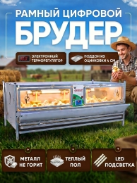 Индюки