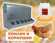 Поилки и кормушки
