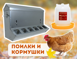 Поилки и кормушки