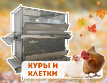 Куры и клетки