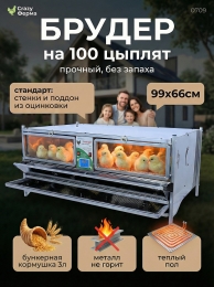 Инкубаторы и брудеры