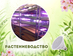 Растениеводство