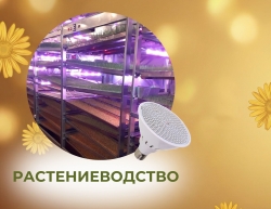 Растениеводство