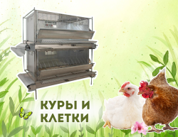 Куры и клетки