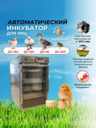 Инкубатор АИ-264 для всех видов яиц